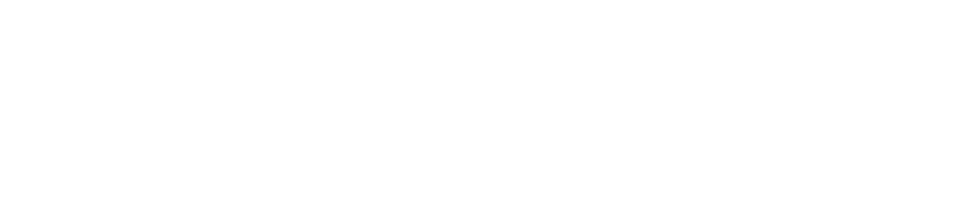 Velinor Projects